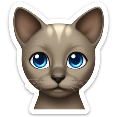 Dark Brown face - beige body and ears female siamise cat with blue eyes  sticker