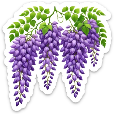 Beautiful wisteria with long cascading clusters of purple flowers hanging like grapes, with delicate green pinnate leaves sticker