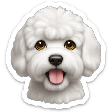 bichon habanero tricolor sticker