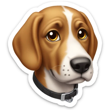 silindir şapkalı köpek balığı sticker