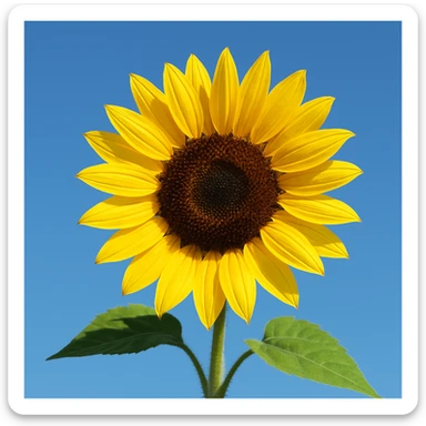 sunflower sticker