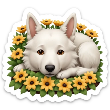White Belgian shepherd dog with Brown eyes sleeping On a flowerbed sticker