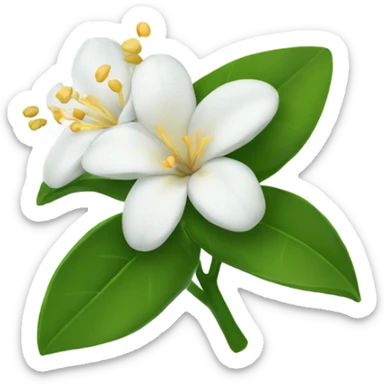 jasmine flower sticker