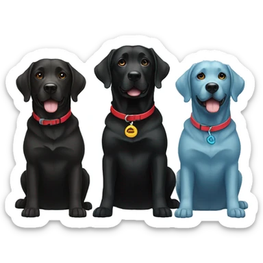 2 happy adult black labradors side by side, bigger dog with red collar, other dog with light blue collar sticker