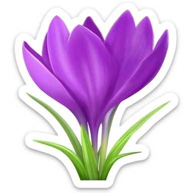 Crocus sticker