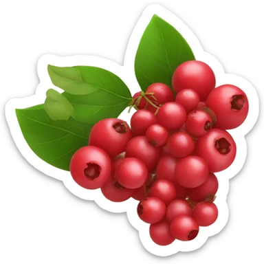 5 red berries with leaves sticker