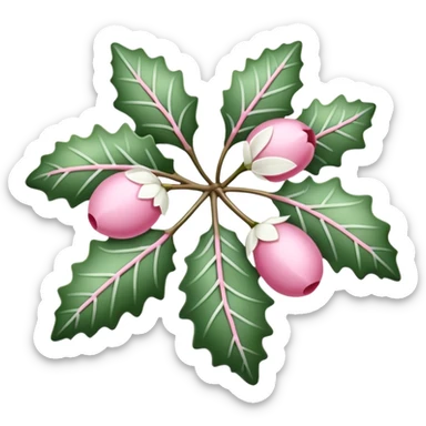 pink mistle toe with white leaves sticker