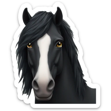 face of black horse with a small star on it's forehead sticker