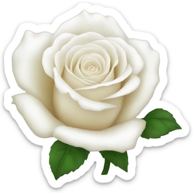 White rose sticker