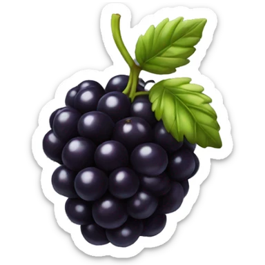 black berry  sticker