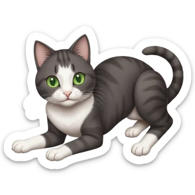 beautiful female solid dark grey cat with green eyes, white toes/paws and white patch on her chest playfully rolling upside down sticker
