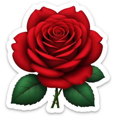 black rose, without green leaves, just flower sticker