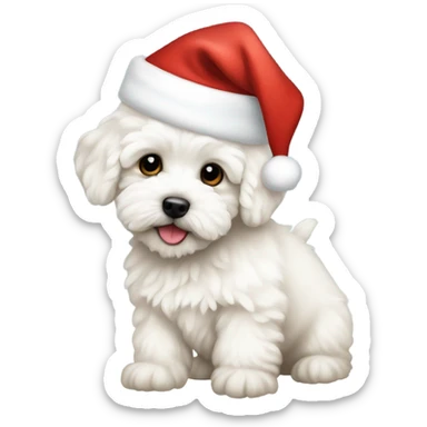 White Maltipoo puppy wearing a santa hat sticker