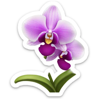 orchid flower sticker