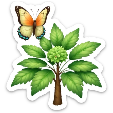 A fluffy bush with soft light-green foliage and a small butterfly sticker