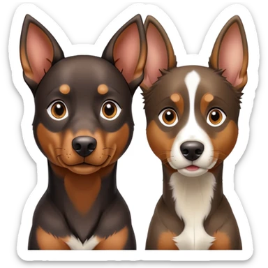A Doberman and a mini Australian Shepherd  sticker