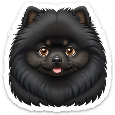 Black pomeranian  sticker