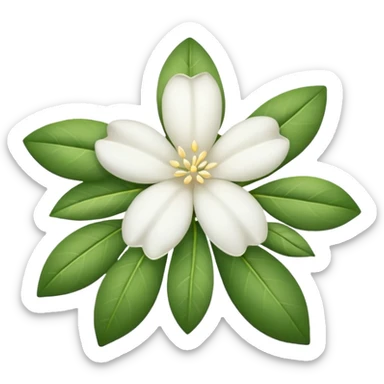 White jasmine flower emoji no leaf sticker
