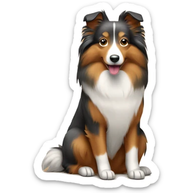 Shetland sheepdog sitting in cardboard sticker