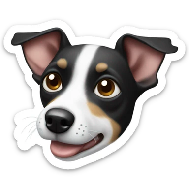 Black and white Rat Terrier feeling nauseated  sticker