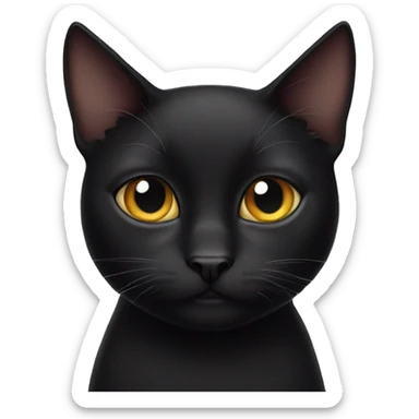 a one-eyed black cat sticker