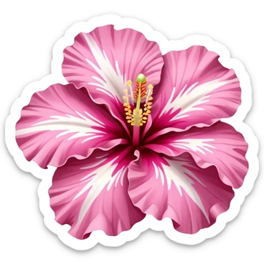 Pink & White Summer Hibiscus  sticker