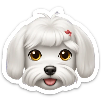 female maltese with red-ish pink nose and cute round haircut  sticker