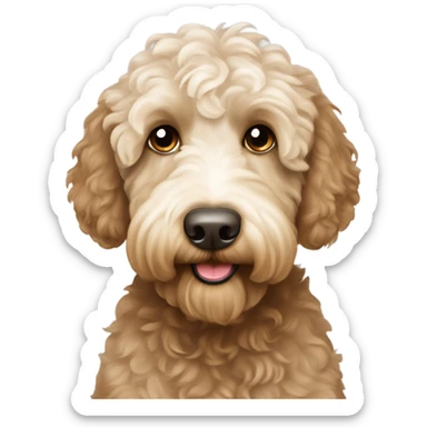 perro raza labradoodle color marrón clarito sticker