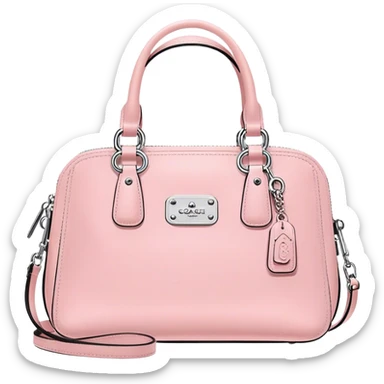 pastel pink coach purse sticker