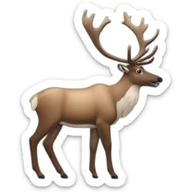 caribou sticker