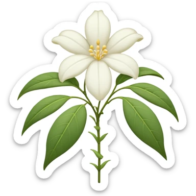 wilted jasmine emoji sticker