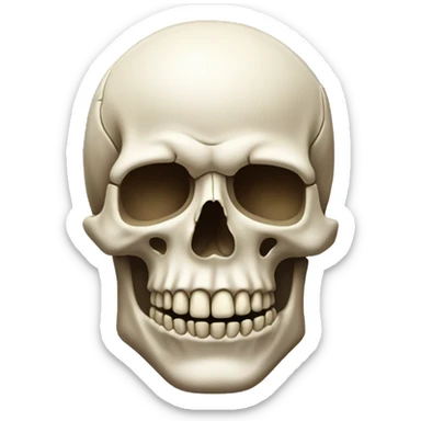 the normal skull emoji on iphone, make it copy pasteable sticker