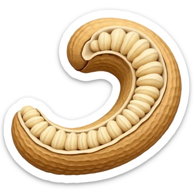 a curve peanut in rough beige textured shells sticker