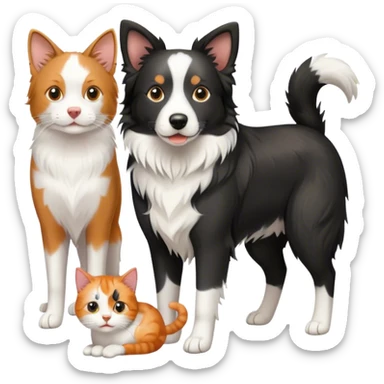 border collie with 2 cats sticker