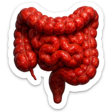 intestino umano anatomico realistico infiammato iperrealistico 4k sticker