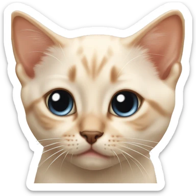 Flame point Siamese kitten sticker