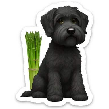 asparagus with black schnoodle dog sticker