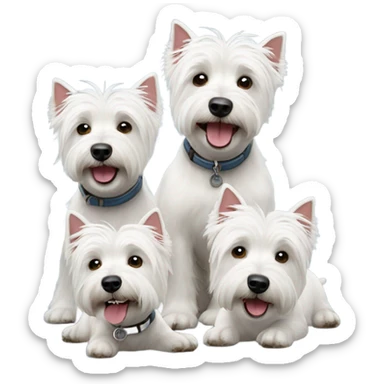 3 happy westie dogs sticker