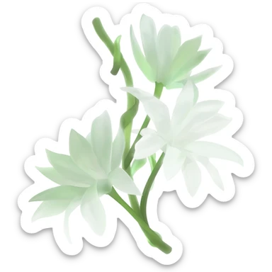 Night flowering jasmine sticker