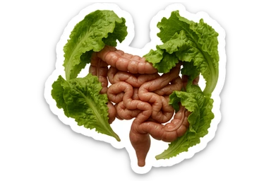 foglie di insalata che attaccano un intestino anatomico umano per distruggerlo, iperrealistico sticker
