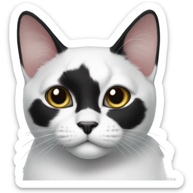 Tuxedo cat with black face and white mustache  sticker