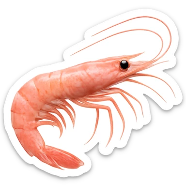 pink shrimp, no background sticker