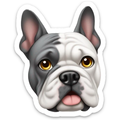 Französische Bulldogge grau sticker