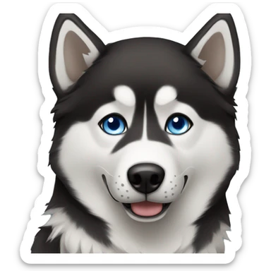 Black husky one blue eye one brown sticker