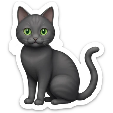 full body gorgeous solid dark grey cat with green eyes, white paws and white whiskers playing sticker