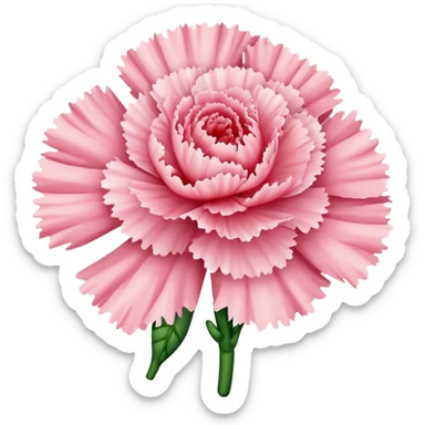  Shell Pink carnations  sticker