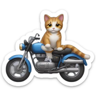 Cat on motorbike sticker