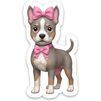 Grey amstaff with a pink bow sticker