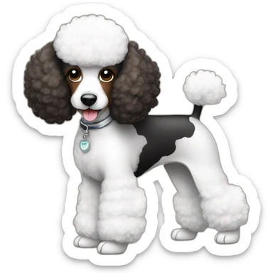 poodle black brown white sticker