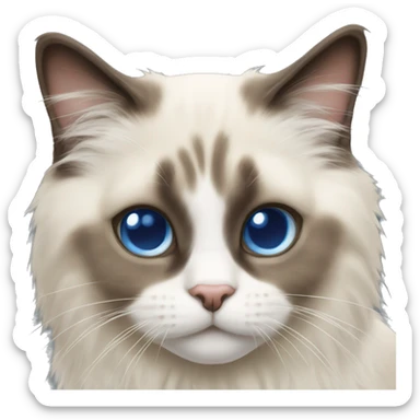 Ragdoll cat sticker